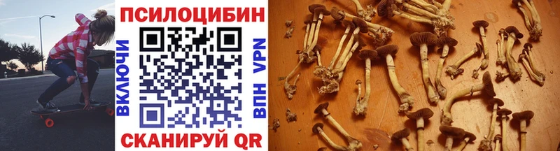 OMG   Канск  Псилоцибиновые грибы Psilocybine cubensis 
